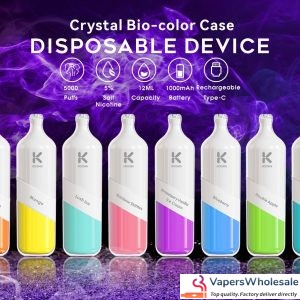 Disposable Electronic Cigarette